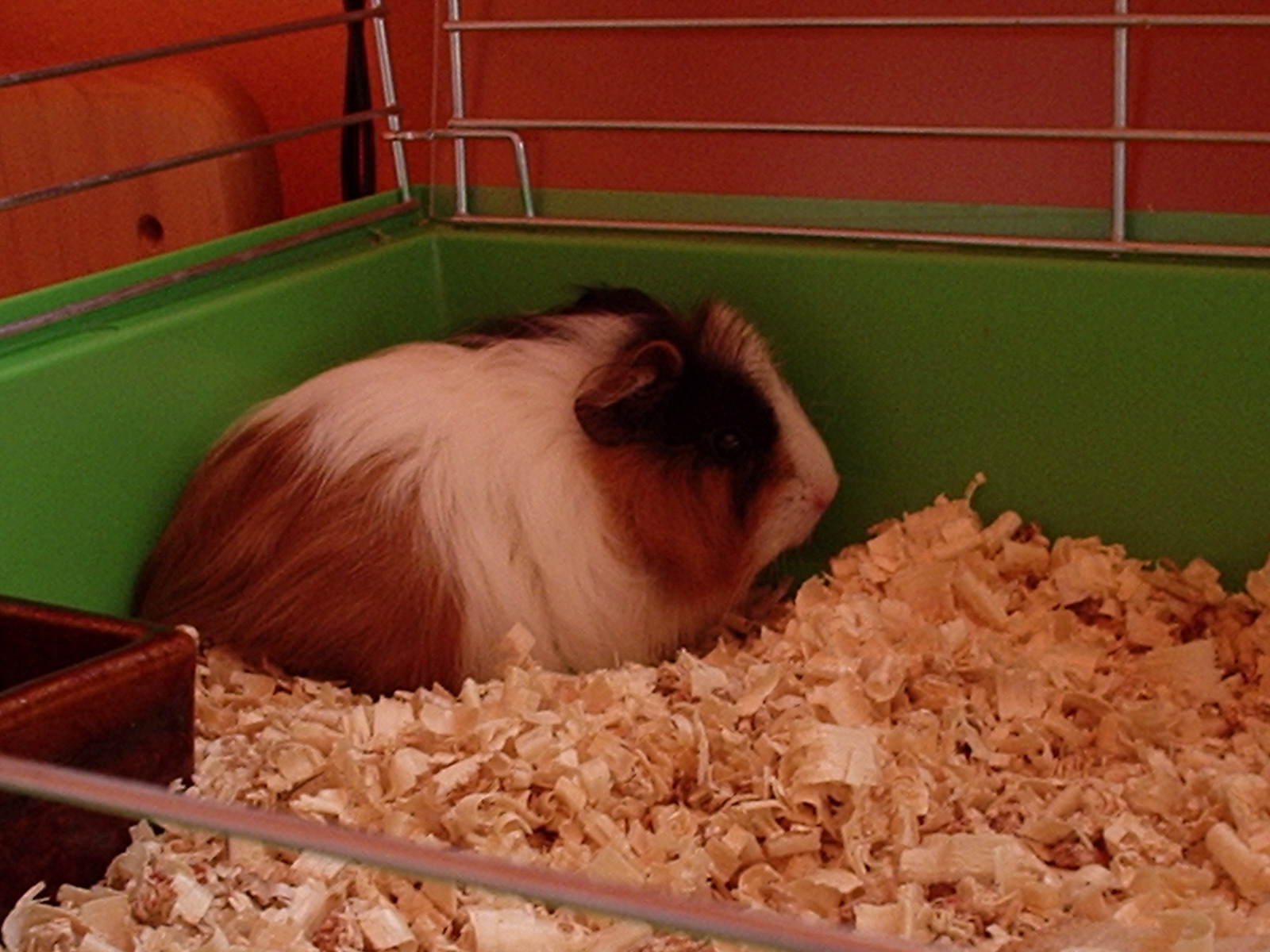 P2110001.JPG
