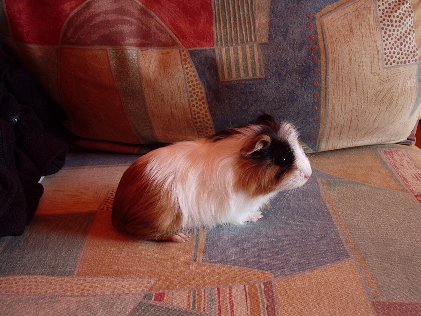 P2110002.JPG