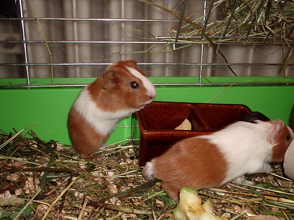 P2100027.JPG